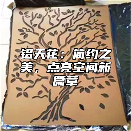 铝天花：简约之美，点亮空间新篇章