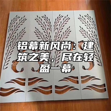 铝幕新风尚：建筑之美，尽在轻盈一幕